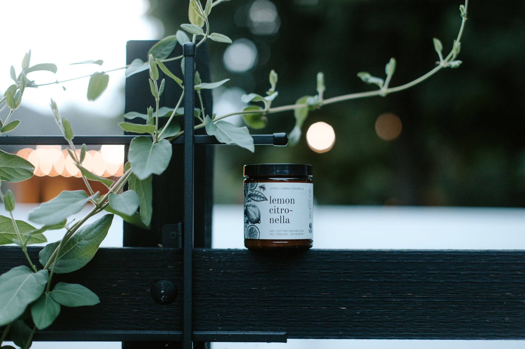 9oz Lemon Citronella Soy Candle on a small outdoor shelf next to a vine plant. 