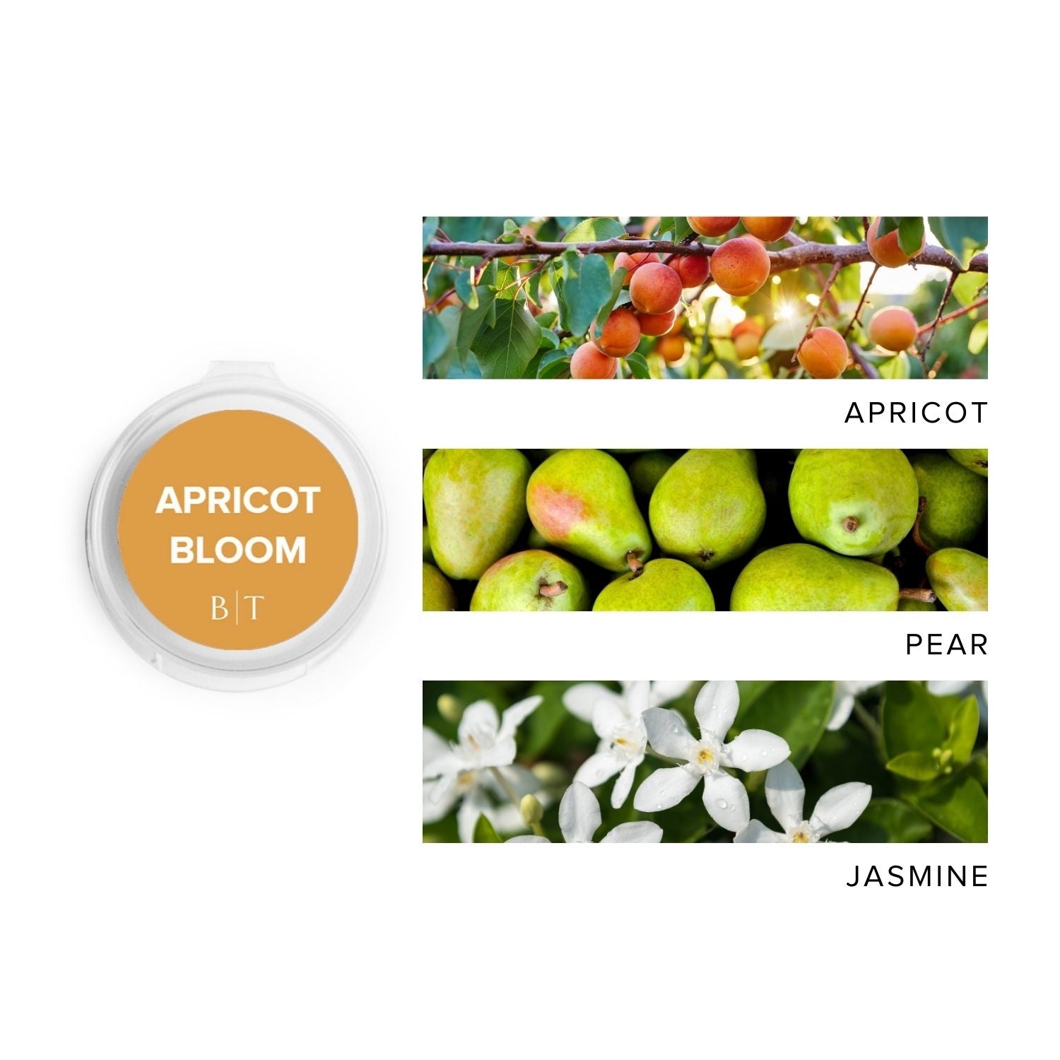 Apricot Bloom Sniffer Pod next to images of apricot, pear & jasmine. 