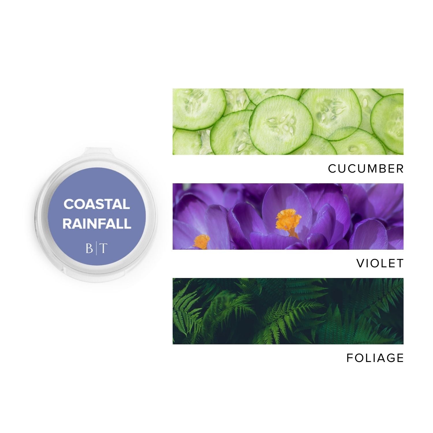 Coastal Rainfall Sniffer Pod next to images of cucumber, violet & foliage. 