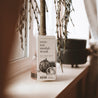 Coconut Sandalwood Soy Wax Melt on window sill in front of a plant. 