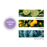 Lavender Mint Sniffer Pod next to images of bergamot, lemon & eucalyptus. 